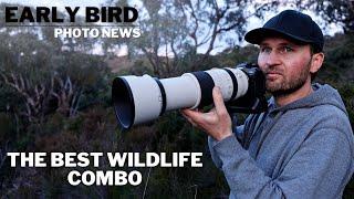 The BEST Wildlife Combo | Scary Firmware Updates | Nikon Halting Orders, BUT releasing more Lenses?