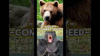 Grizzly Bear VS Gorilla