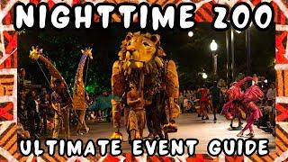 NIGHTTIME ZOO 2024 - Ultimate Guide to NEW Shows & Food - Summer Event at the San Diego Zoo