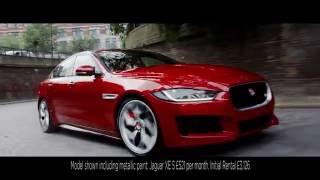 XE: Life With More Roar