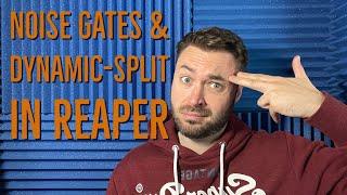 VOICE OVER TIPS | NOISE GATES AND DYNAMIC SPLIT IN REAPER DAW