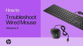 How to troubleshoot a wired mouse in Windows 11 | HP Computers | HP Support