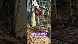 Fly effect using Adobe After Effects #adobeaftereffects #visualeffects #beginnerfriendly