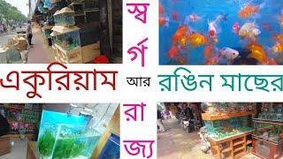 Katabon Fish & Aquarium Market,Dhaka,Part-1//Gk On The Blog