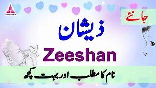 Zeeshan Name Meaning in Urdu