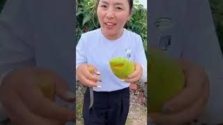 Beautiful Nature - Inspur Fresh Fruit wonderful video of  Industry #0066