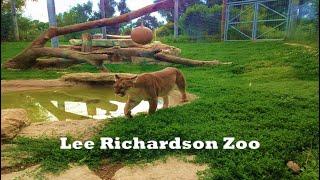 Lee Richardson Zoo – Garden City, KS: Wandering Walks of Wonder Slow TV Walking Tour 4K