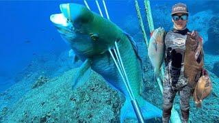 Spearfishing Hawaii Rockin the stick