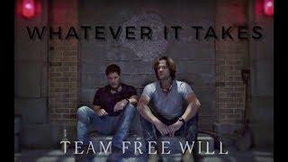 team free will || whatever it takes