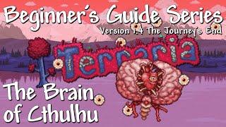 The Brain of Cthulhu - All Difficulties (Terraria 1.4)
