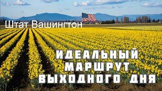 Сиэтл.Что посмотреть на севере штата Вашингтон?Дроном-пешком-автомобилем.