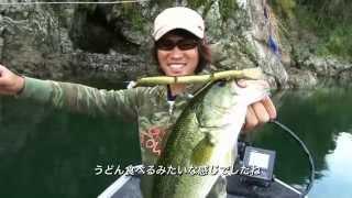 MEGABASS MOVIE #227　4連結ジョイントプラグ「EELER」