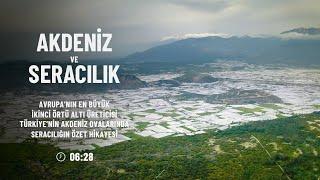 Akdeniz'de Seracılık