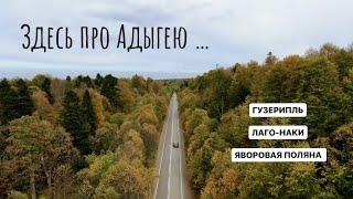 Что посмотреть в Адыгее? Кавказ Ч.1 (Лаго-Наки | Яворова поляна | Гузерипль)