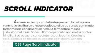 Page Scroll Indicator Using Html CSS