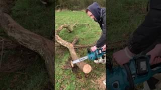 Which Chainsaw? Makita 36v or Stihl Petrol ??