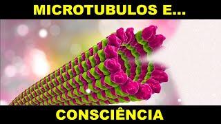 CONSCIÊNCIA E MICROTUBULOS