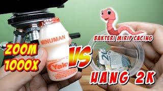 ZOOM 1000X: AIR YAKULT vs BAKTERI JAHAT UANG 2RIBU - thw experiment