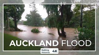 Flood Henderson Auckland - Opanuku Stream & Westwave | Auckland New Zealand Walking Tour 4K