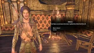 Elder Scrolls Online - GamesVonJames Twitch Streaming - Warden Leveling