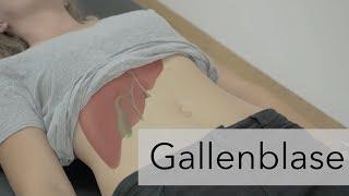 Abdomensonografie -  Gallenblase