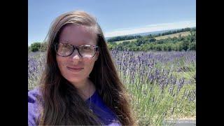 Lavender Farm Tour: Hope Hill Lavender Farm June 2022