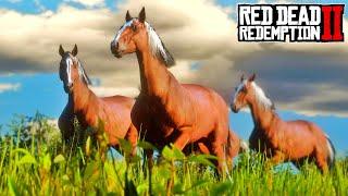 STEALING FASTEST HORSES IN RDR 2 #14 || BB GAMING