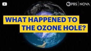 What Happened to the Hole in the Ozone Layer? | NOVA | PBS