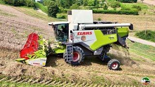 **TOP**  Claas Trion 530 Montana - Lexion 530 Montana | PARACCHINO FARM