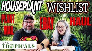 NSE Tropicals House Plant Unboxing, Ebay Wish List Plant & Plant Mail