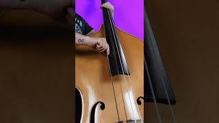 Can a bass guitar sound like a double bass? #bass #bassguitar #doublebass