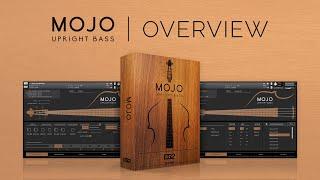 Overview | MOJO: Upright Bass