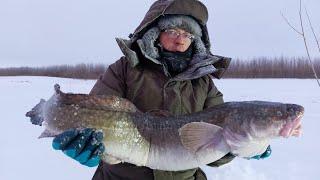 Рыбалка в Нижневартовске 05.12.2022г.