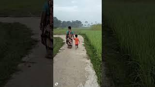 # A little one is walking across the farmland with grandmother and sharing his huge queries with her