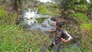 HOKI BANGET !!! Pemancing ini Temukan Rawa Yang Dihuni Banyak Sekali Ikan2 Ganas