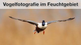 Vogelfotografie - Was man im Naturschutzgebiet NICHT machen sollte