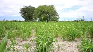 Namibian Farmers Adapt to Changing Climate