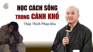 Học cách sống trong cảnh khổ - Thầy Thích Pháp Hòa