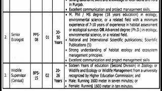 Punjab Wildlife and Parks Department Jobs 2024