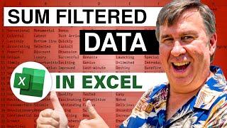 Excel - Can I Sum Data in Excel that is Filtered - Episode 2574