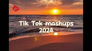 TikTok mashup 2024 (clean)