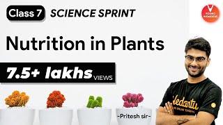Nutrition in Plants | Class 7 Science Sprint | Chapter 1 @VedantuJunior