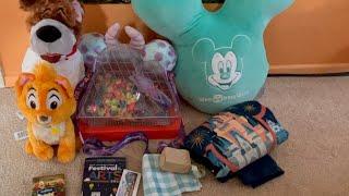 My Disney World Haul (January 2024)