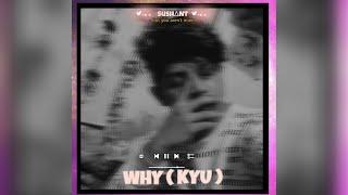 SUSHANT - WHY (KYU) (Prod. dismas xavier) Sad lofi R&B 2022 VIDEO MUSIC