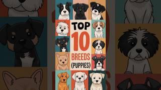 Top 10 Dog Breeds – #1 Will SHOCK You! 