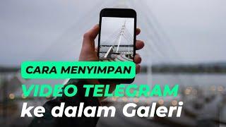 CARA MUDAH MENYIMPAN VIDEO TELEGRAM KE GALERI FOTO