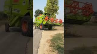 Lotey 987 combine status combine video #combineharvester #shorts #shortsyoutube #viralshorts #farm