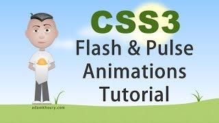 CSS3 Flash and Pulse Effects Animation Tutorial