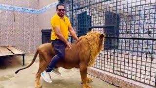 Mufasa "The Lion" and owner Mian Saqib: A Heartbreaking Tale of Love and Loss!