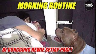 Digonggong Hewie Setiap Pagi! | Lihat Rutinitas Unik Anjing Lucu Ini! | HEWIE PITBULL #hewiepitbull